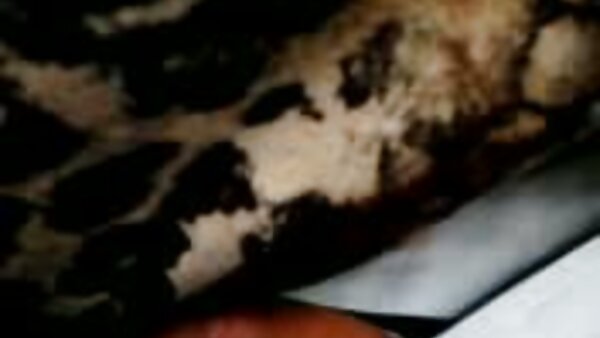 Bootylicious و مفلس شقراء افلام سكس تركي مترجم عربي يهيمن الفرخ أحمر الشعر وقح